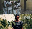 Testamento