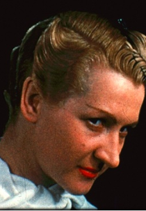 As Elegias do Kodachrome (The Kodachrome Elegies)