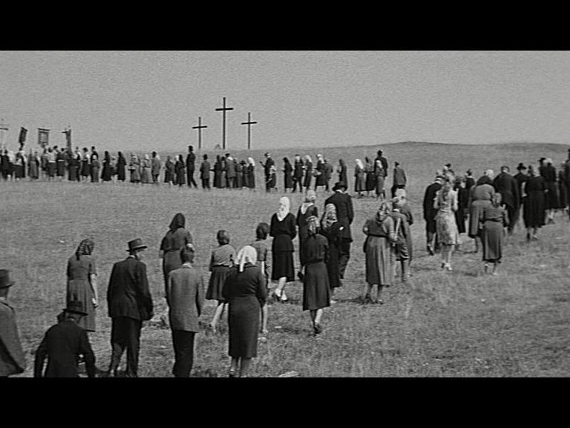 Foto 16 de Viva a República