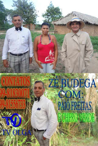 Poster 1 de Filme Zé Budega (2013)