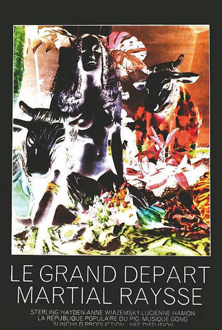 Poster 1 de Filme Le Grand Départ (1972)