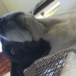 Foto de perfil de Daniel