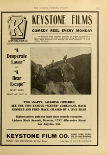 The Detectives (A Bear Escape)