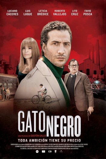 Poster de Filme Gato negro (2014)
