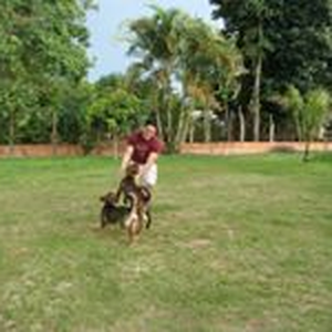 Foto de perfil de Caio Rodrigo