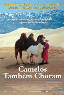 Camelos Também Choram - Poster / Capa / Cartaz - Oficial 2