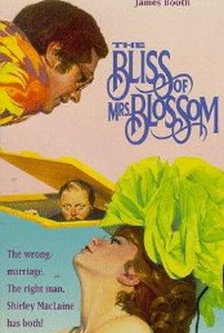 Poster 1 de Filme Um Marido de Reserva (1968)