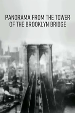 Panorama from the Tower of the Brooklyn Bridge (Panorama from the Tower of the Brooklyn Bridge)