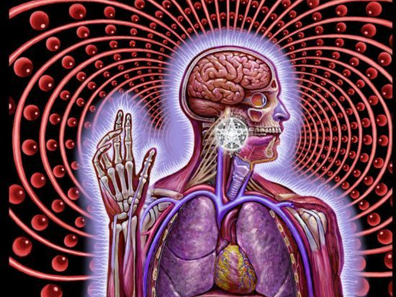 Foto 3 de Tool: Parabola