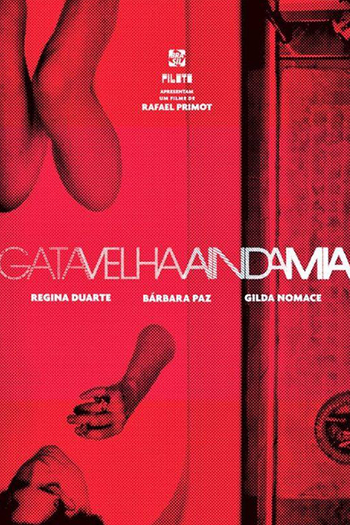  de Filme Gata Velha Ainda Mia (2013)