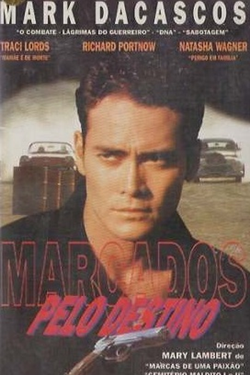 Poster de Filme Marcados Pelo Destino (1994)