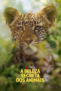 A Beleza Secreta dos Animais (1ª Temporada) - Poster / Capa / Cartaz - Oficial 2