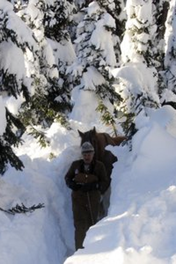  de Filme Cavalos de McBride (2012)