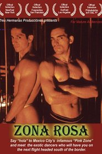 Poster de Filme Zona Rosa (2005)