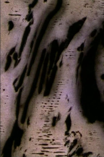Poster de Curta Motion of Light (2004)