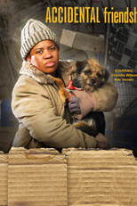 Accidental Friendship (Accidental Friendship)