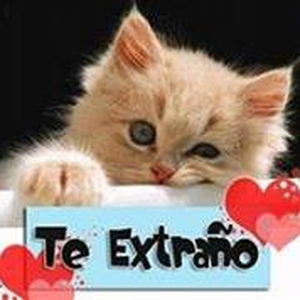 Foto de perfil de Liane