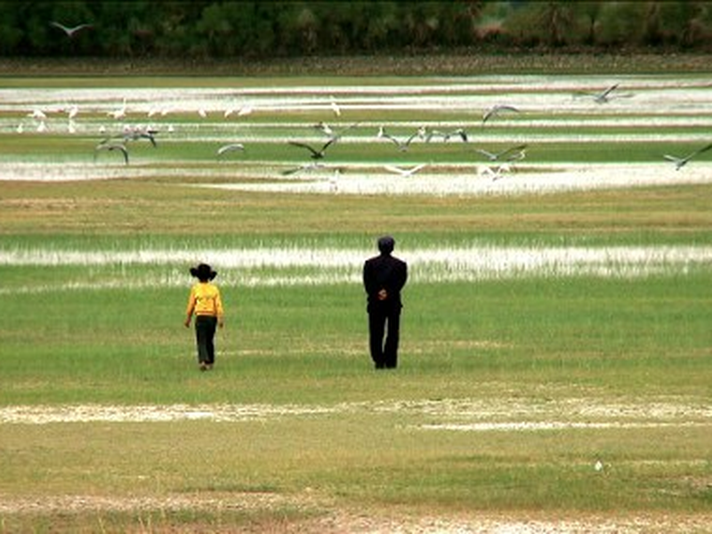 Foto 4 de Fly with the Crane