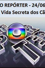 Globo Repórter – A Vida Secreta dos Cães (Globo Repórter: A Vida Secreta dos Cães)