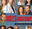 A Anatomia de Grey (3ª Temporada)