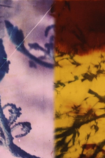 Harbour City (Harbour City)