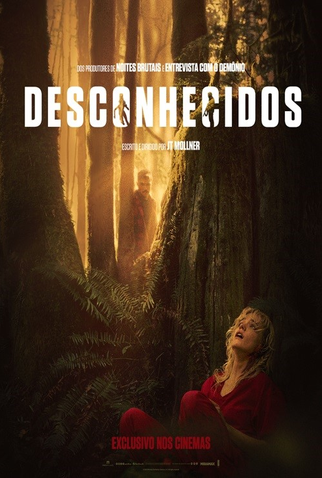 Poster 9 de Filme Desconhecidos (2024)
