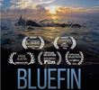 Bluefin