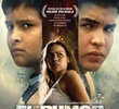 El rumor de las piedras
