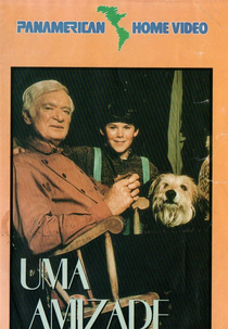 Uma Amizade Especial (Stone Fox)