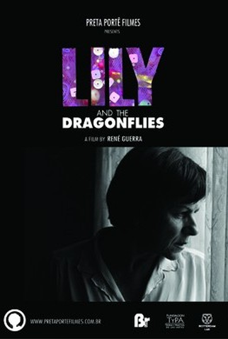 Poster 1 de Filme Lili e as Libélulas (2014)