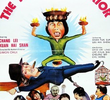 The Kung Fu Warrior