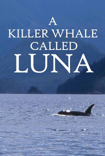 Uma Orca chamada Luna - Poster / Capa / Cartaz - Oficial 1