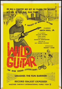 Wild Guitar (Wild Guitar)
