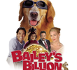 Bailey: Um Cão Que Vale Milhões