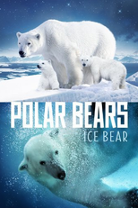 Ursos Polares (Polar Bears: Ice Bear)