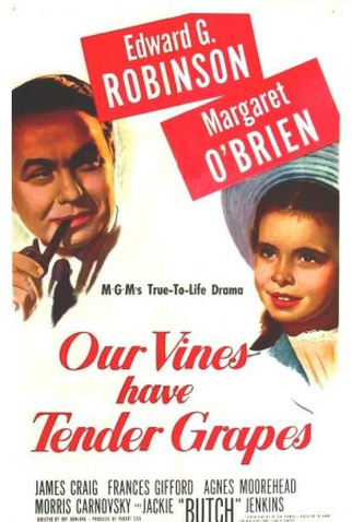 Poster 1 de Filme O Roseiral da Vida (1945)