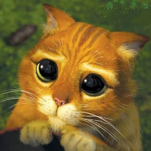 Foto de perfil de Bruno