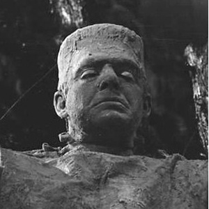 Foto de perfil de Eduardo Neubauer