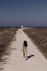 Sol na neblina (Sol na neblina)