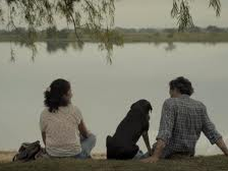 Foto 6 de As Acácias