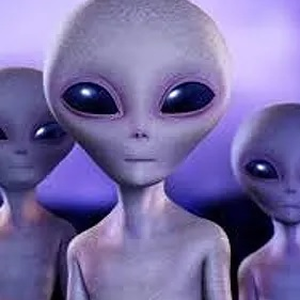 Foto de perfil de Castle Cult