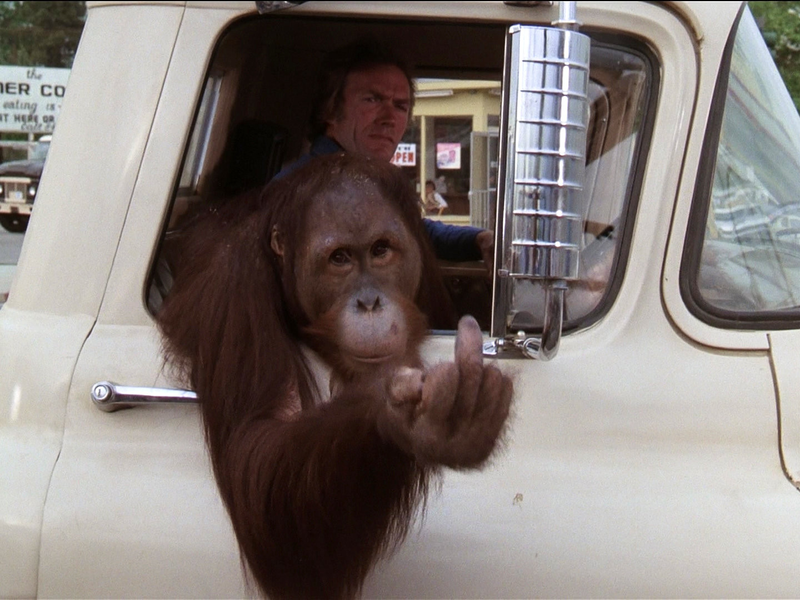 Foto 1 de Doido para Brigar... Louco para Amar