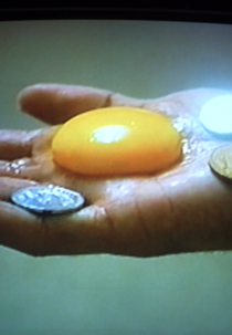 Jardim das Vulvas (Jardim das Vulvas)