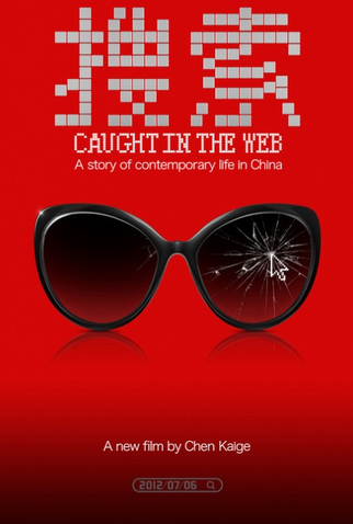 Poster 5 de Filme Presa Na Internet (2012)