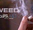 Weed - A CNN Special Report