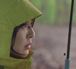 플렉스의 미학