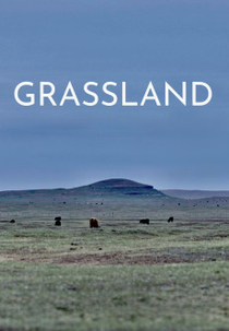 Grassland (Grassland)