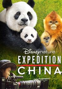 Expedição China (Expedition China)