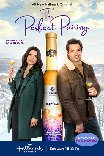 Poster de Filme The Perfect Pairing (2022)