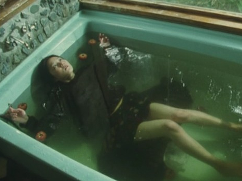 Foto 1 de A Gap in the Skin